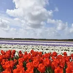 Holiday home Pet-friendly Warmenhuizen