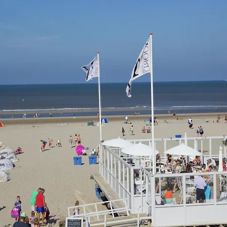 Pet-friendly Holiday home