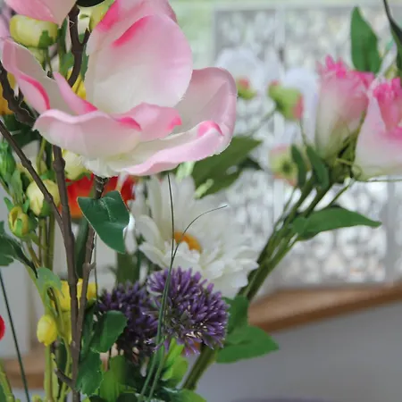 Pet-friendly * Warmenhuizen