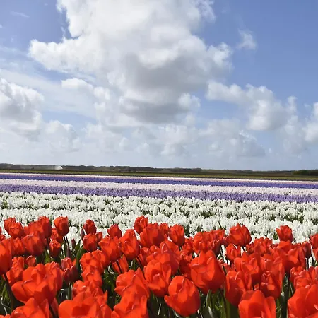 Holiday home Pet-friendly Warmenhuizen