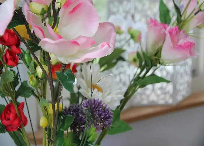 Pet-friendly * Варменхёйзен