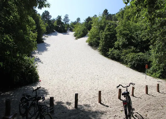 Pet-friendly Дом отдыха *