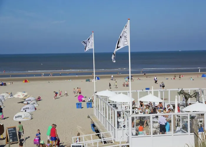 Pet-friendly Tatil Evi