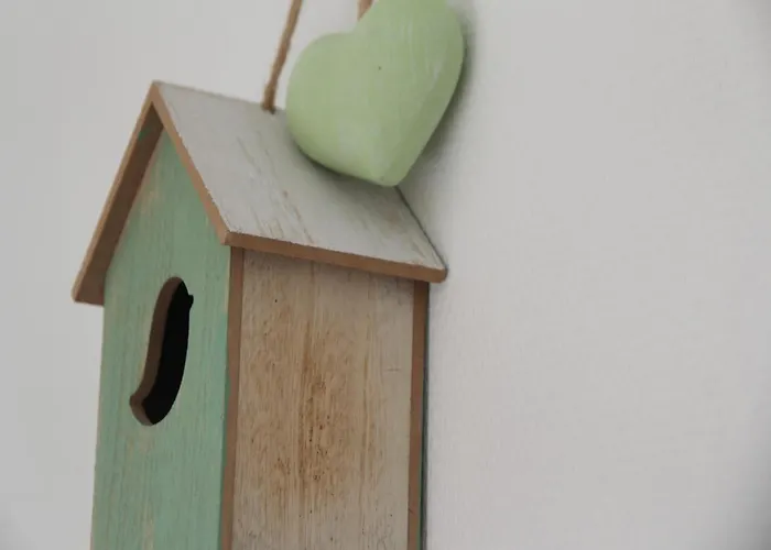 Tatil Evi Pet-friendly *