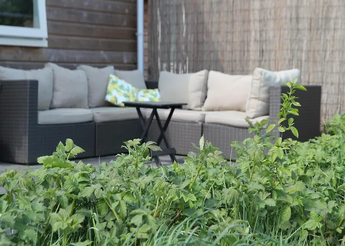 Tatil Evi Pet-friendly